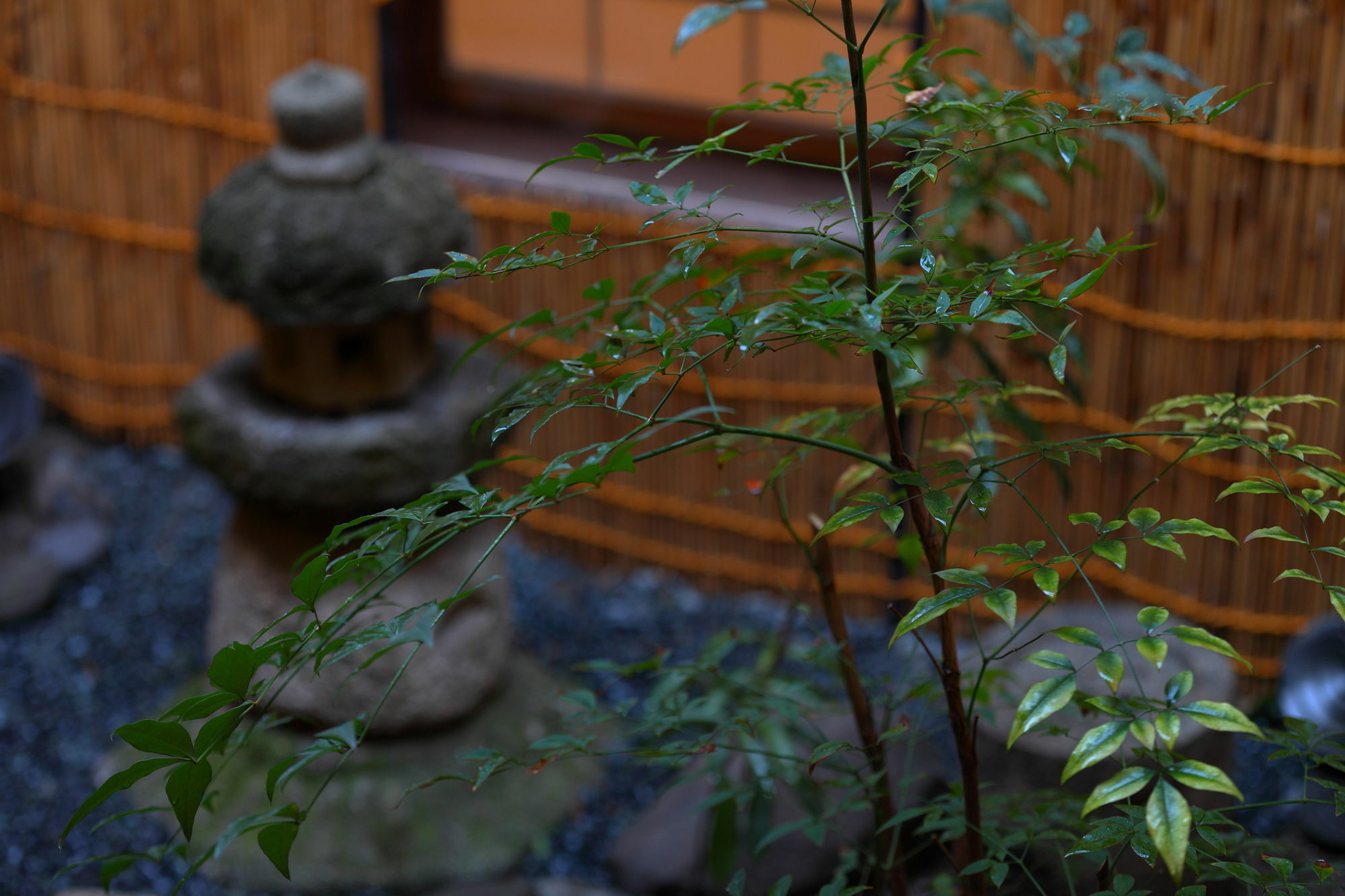 Sanjojuku Machiya Hostel *